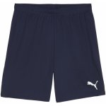 Puma teamGOAL Shorts – Zboží Mobilmania