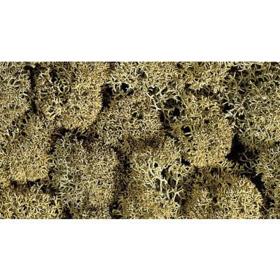 Noch Mech šedý 35g 08600 – Hledejceny.cz