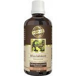 Green idea Bříza bělokorá 50 ml – Hledejceny.cz