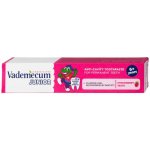 Vademecum Junior Jahoda pro děti od 6 let 75 ml – Hledejceny.cz