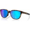 Sluneční brýle Oakley Polar 92500457