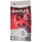 Roxia Pharma RIVA-FLEX kloubní výživa 1 l – Hledejceny.cz