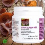 MRL Auricularia auricula boltcovitka ucho Jidášovo 90 tablet – Hledejceny.cz