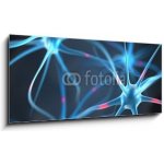 Skleněný obraz 1D panorama - 120 x 50 cm - Neurons in the brain Neurony v mozku – Zboží Mobilmania