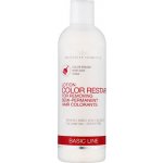 Spa Master Color Restart Lotion pro odstranění semi-permanentní barvy 330 ml – Zboží Dáma