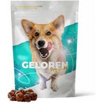 Geloren S-M kloubní výživa pro malé a střední psy 180 g 60 ks – Sleviste.cz