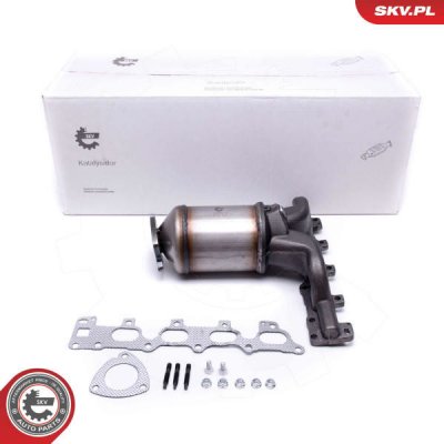 Katalyzátor ESEN SKV 62SKV014 | Zboží Auto
