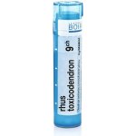 RHUS TOXICODENDRON POR 9CH GRA 4G – Hledejceny.cz