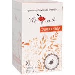 Aromatica Bylinný čaj Žaludek a střeva 20 x 2 g – Zboží Dáma