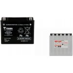 Yuasa YTX24HL-BS | Zboží Auto