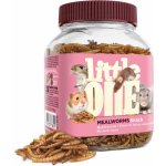 Little One Mouční červi 70 g – Sleviste.cz