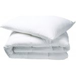 TipTrade Set Klasik 140x200 70x90 – Zboží Dáma