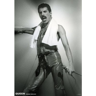 Plakát, Obraz - Queen (Freddie Mercury) - Live On Stage, 59.4 × 84.1 cm – Zboží Dáma