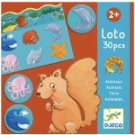 Djeco Zvířátkové loto – Hledejceny.cz