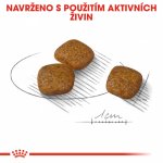 Royal Canin Mini Urinary Care 3 kg – Zboží Mobilmania