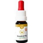 CBDčko CBD + MCT Olej Strawberry Jahoda 10% 10 ml – Sleviste.cz