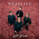 Westlife - Wild Dreams CD – Sleviste.cz