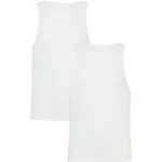 Under Armour Perf Cotton Tank-2Pk Man – Zboží Dáma