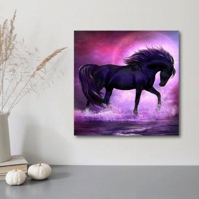 Weltbild Diamantové malování Černý kůň – Hledejceny.cz