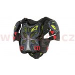 Chránič těla Alpinestars A-10 – Hledejceny.cz