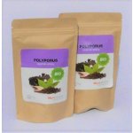 MycoMedica Polyporus prášek 2 x 100 g – Hledejceny.cz