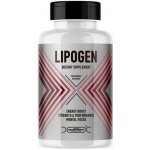 Sizeandsymmetry Lipogen 90 kapslí – Hledejceny.cz