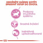Royal Canin Kitten Instinctive Loaf 12 x 85 g – Sleviste.cz
