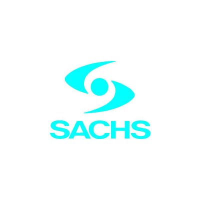 SACHS 290 239 Tlumič pérování 290 239 – Hledejceny.cz