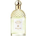 Guerlain Aqua Allegoria Herba Fresca toaletní voda unisex 125 ml – Hledejceny.cz