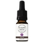 Bachovy květové bio esence Les fleurs de Bach Vrba bílá Willow 10 ml – Hledejceny.cz