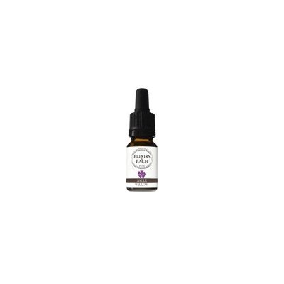 Bachovy květové bio esence Les fleurs de Bach Vrba bílá Willow 10 ml – Hledejceny.cz