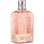 L'Occitane Fleurs de Cerisier sprchový gel 250 ml – Hledejceny.cz