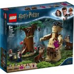 LEGO® Harry Potter™ 75967 Zapovězený les: Setkání Drápa a profesorky Umbridgeové – Hledejceny.cz