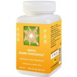 TCM herbs patentní medicína Nápoj ze zlatého kořene 100 g – Hledejceny.cz