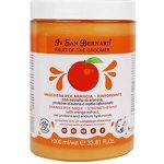 Iv San Bernard Maska ARANCIA 1 kg – Hledejceny.cz