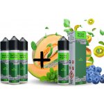 Charlies Chalk Dust Pacha Mama Shake & Vape The Mint Leaf 10 ml – Zboží Mobilmania
