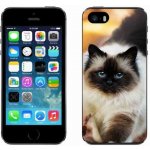 Pouzdro mmCase Gelové iPhone SE 2016 - kočka 1 – Sleviste.cz