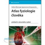 Atlas fyziologie člověka - Stefan Silbernagl, Agamemnon Despopoulos – Zbozi.Blesk.cz