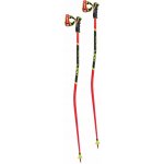 Leki WCR GS 3D 2024/25 – Zboží Dáma