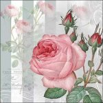 Ambiente Europe BV ubrousek 33x33cm Růže Yara – Hledejceny.cz