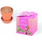 Dárkoviny Vypěstuj si masožravku v plechovce – Zboží Dáma