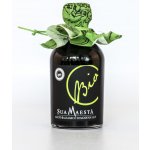 Bellei Luigi eFigli srl Sua Maesta Balsamico 12 leté BIO 250 ml – Zboží Dáma