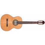 Kremona Soloist F65C – Zboží Dáma