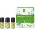 Primavera Aroma lékárnička esenciální olej 3 x 5 ml – Hledejceny.cz