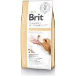 Brit Veterinary Diet Dog Grain Free Hepatic 12 kg – Zbozi.Blesk.cz