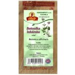 Agrokarpaty BETONIKA LÉKAŘSKÁ bylinný čaj 30 g – Zboží Dáma