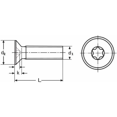 šroub M5x12 ZINEK 4.8 zápustná hlava TORX 25 ISO 14581 – Hledejceny.cz