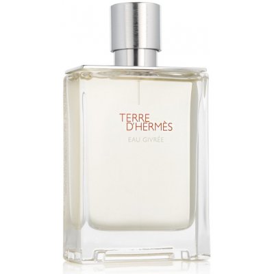 Hermès Terre D' Eau Givrée parfémovaná voda pánská 100 ml plnitelný flakon – Sleviste.cz