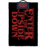 Pyramid International Stranger Things: Enter The Upside Down 60 x 40 cm černá [GP85287] – Zboží Dáma