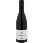 Weingut Salwey Spätburgunder KAISERSTUHL Rulandské modré 0,9 g/l suché červené 2023 13% 0,75 l (holá láhev) – Hledejceny.cz